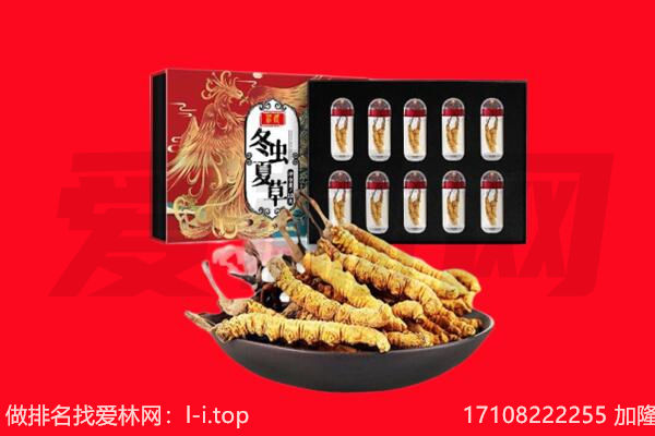 定南县回收虫草.jpg